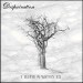 DESPAIRATION "A requiem in Winter\'s hue