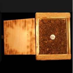 NEGURA BUNGET "Virstele Pamintului" EARTHBOX Ltd