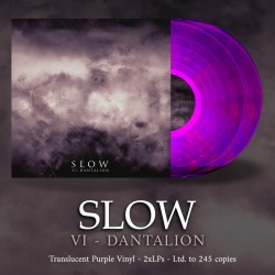 SLOW "VI - Dantalion" purple DLP