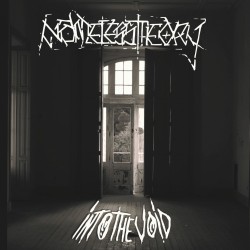 NAMELESS THEORY "Into the Void"